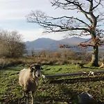 Elm * Keswick (Cumbria)