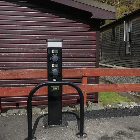 Elm * Keswick (Cumbria)