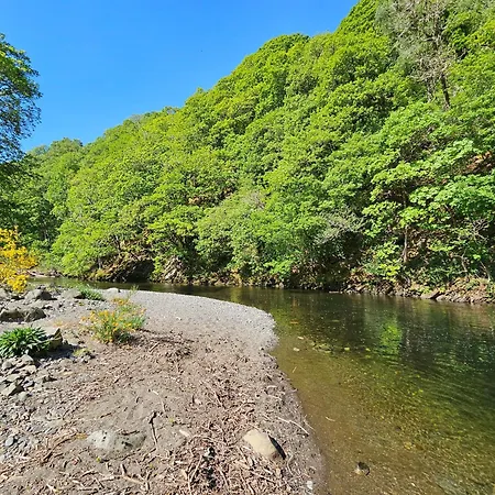 Elm Keswick (Cumbria)