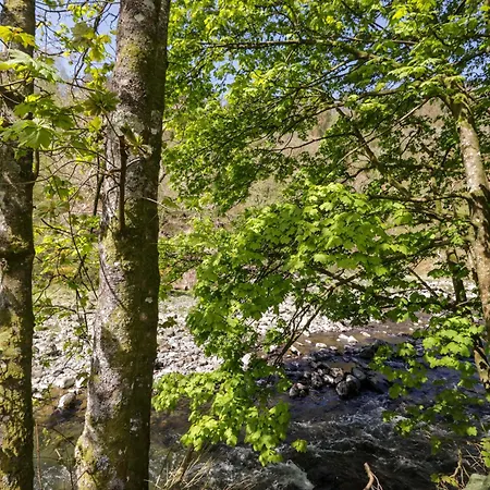 Elm Keswick (Cumbria)