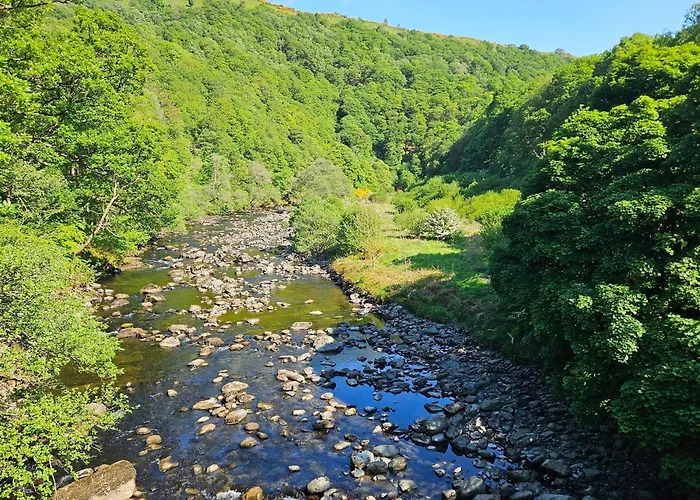 Elm بيت للعطل