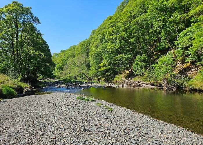 بيت للعطل Elm