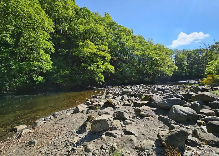 Elm بيت للعطل *