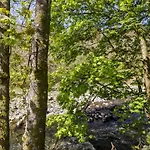 Elm Κέσγουικ
